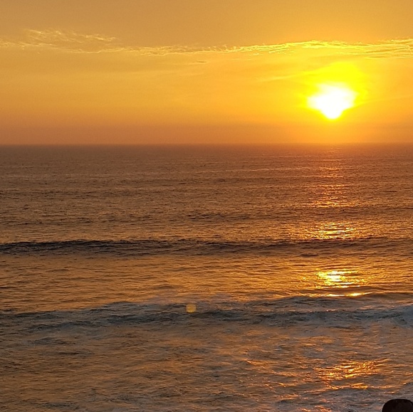 Meet your Posher, Dahlia - Picture 1 of 1